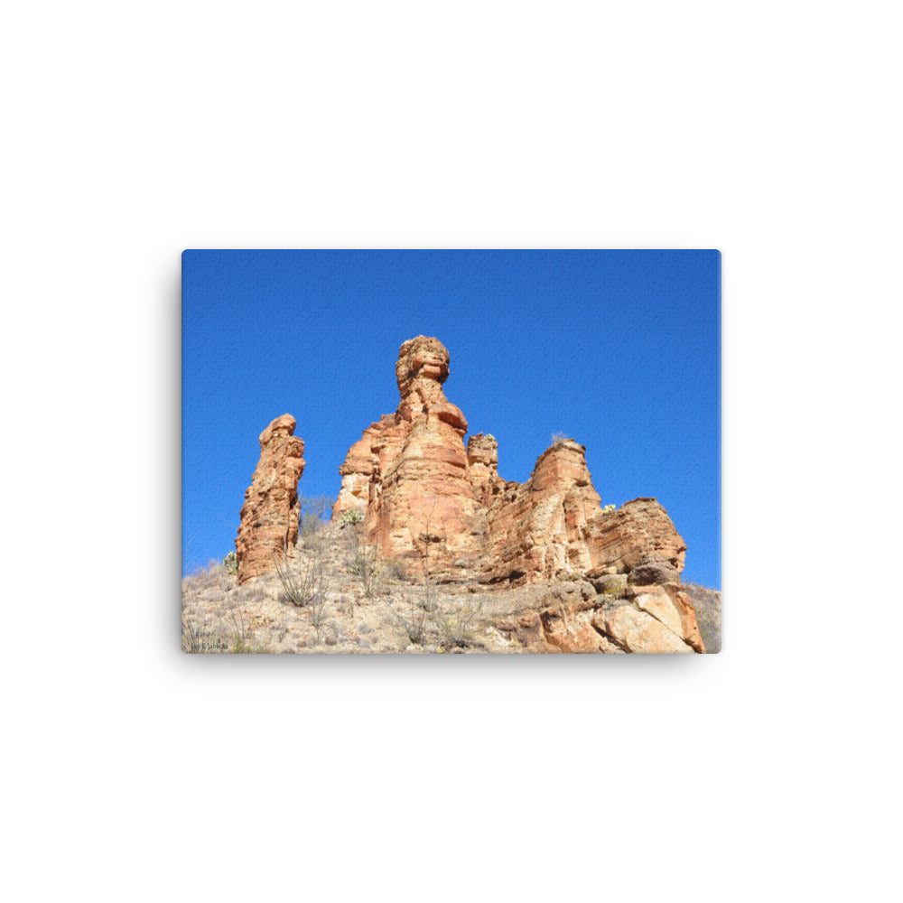 Canvas, The Sentinels rock formation of Big Bend NP 276