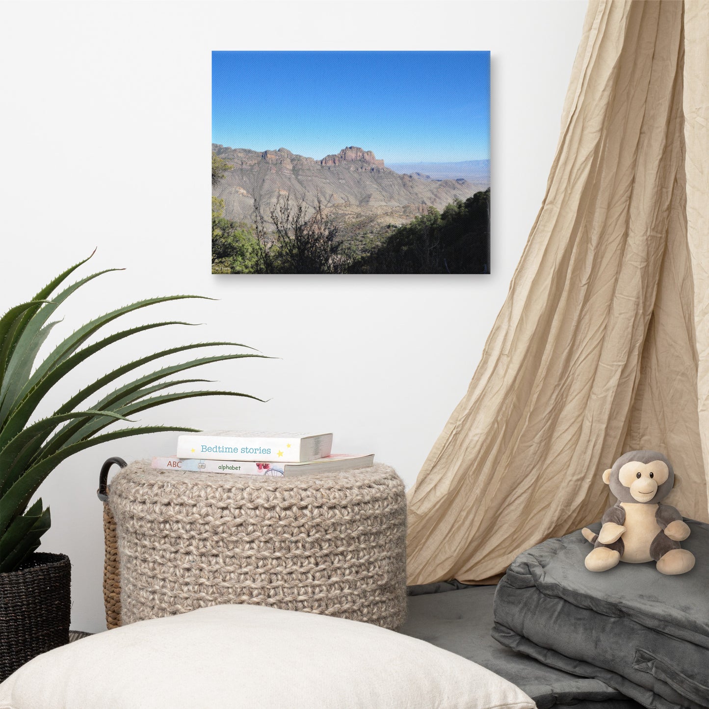 Canvas, View to the south from Chiso Mountains in Big Bend NP 224