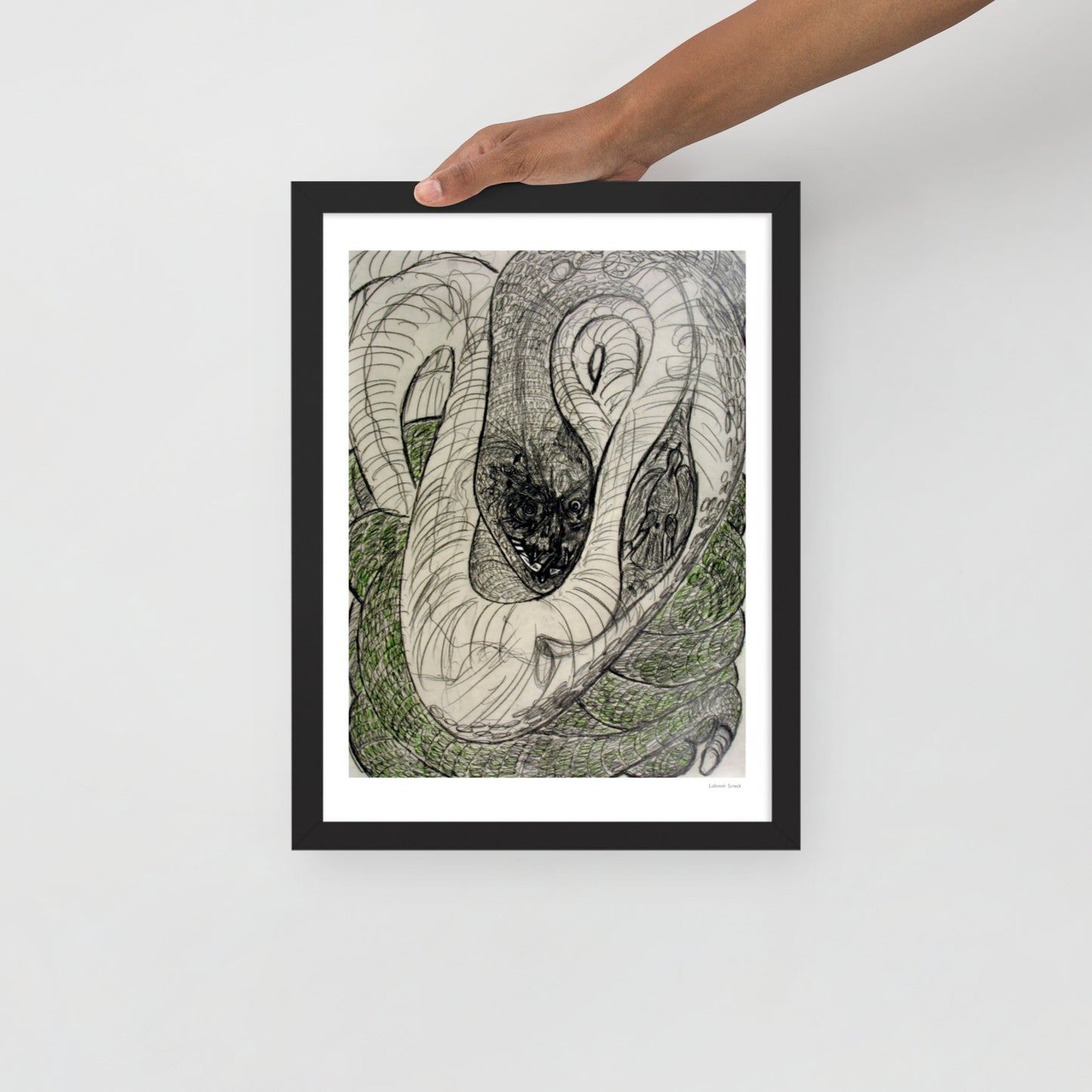 Framed poster print, fine art drawing of snake 1