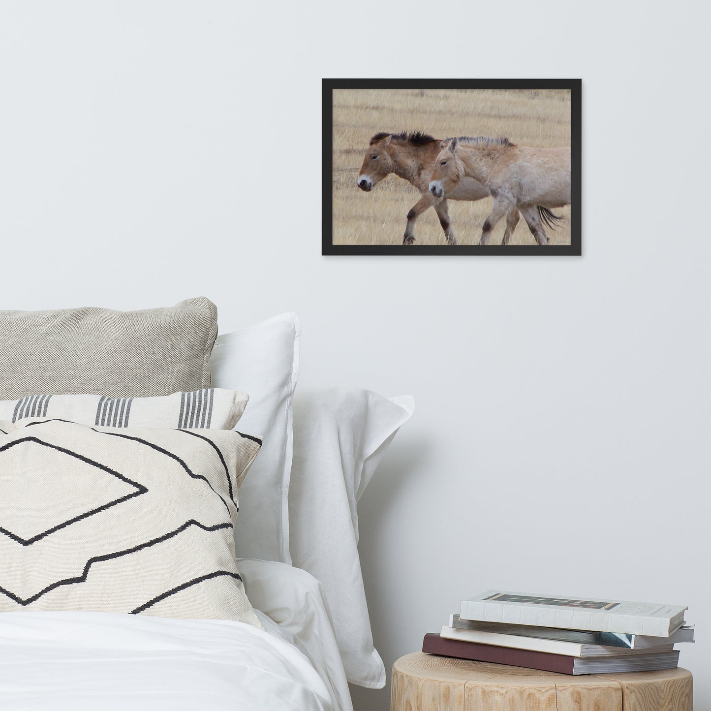 Framed poster, Przewalski’s horses in Hustai National Park in Mongolia