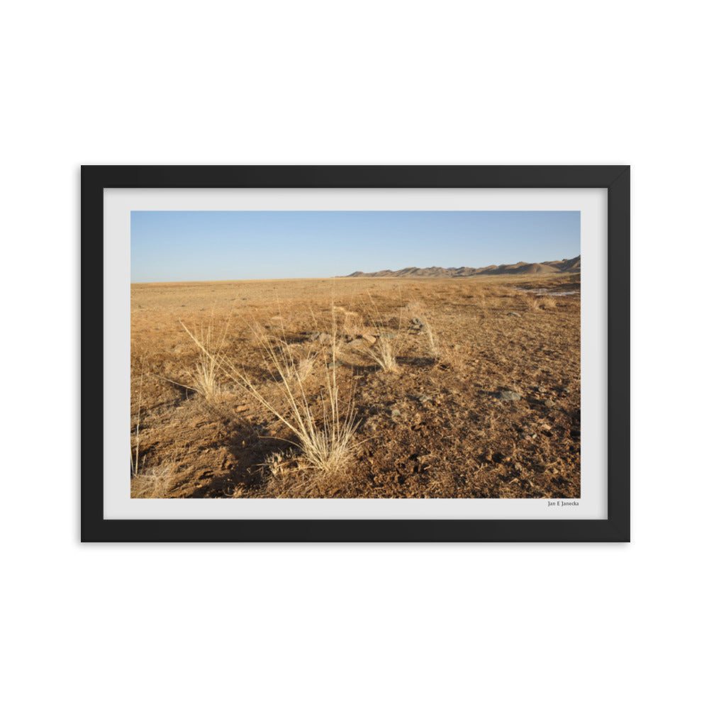 Framed poster, grass in Gobi of Mongolia