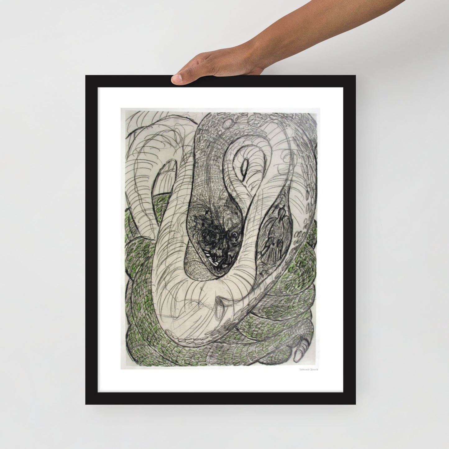 Framed poster print, fine art drawing of snake 1