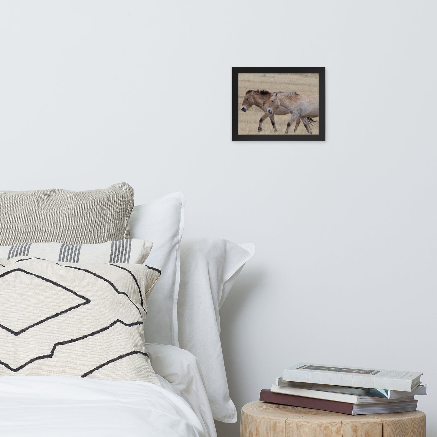 Framed poster, Przewalski’s horses in Hustai National Park in Mongolia
