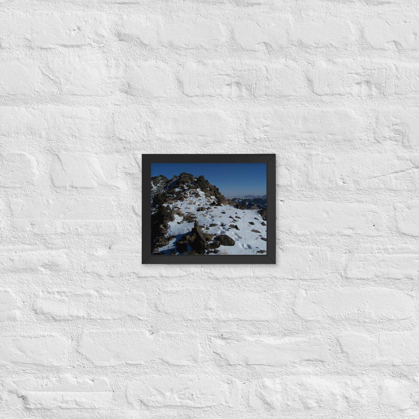 Framed poster, Snow leopard tracks on ridge in Mongolia 3