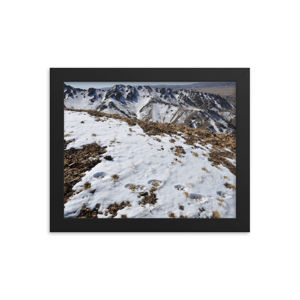 Framed poster, Snow leopard tracks on ridge in Mongolia