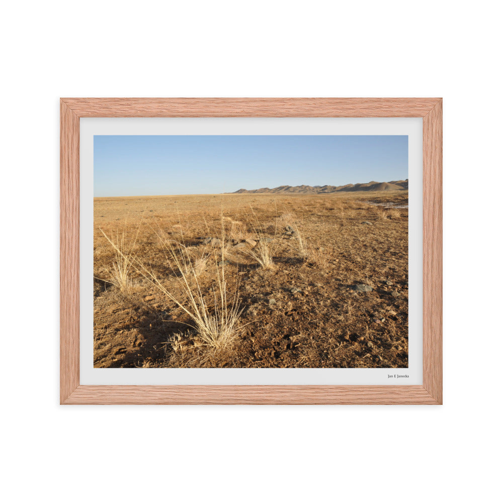 Framed poster, grass in Gobi of Mongolia