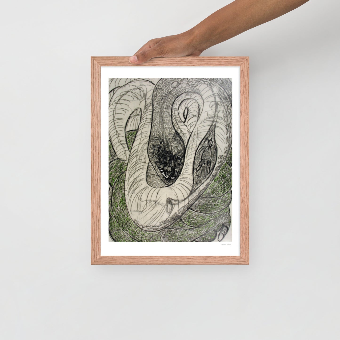 Framed poster print, fine art drawing of snake 1