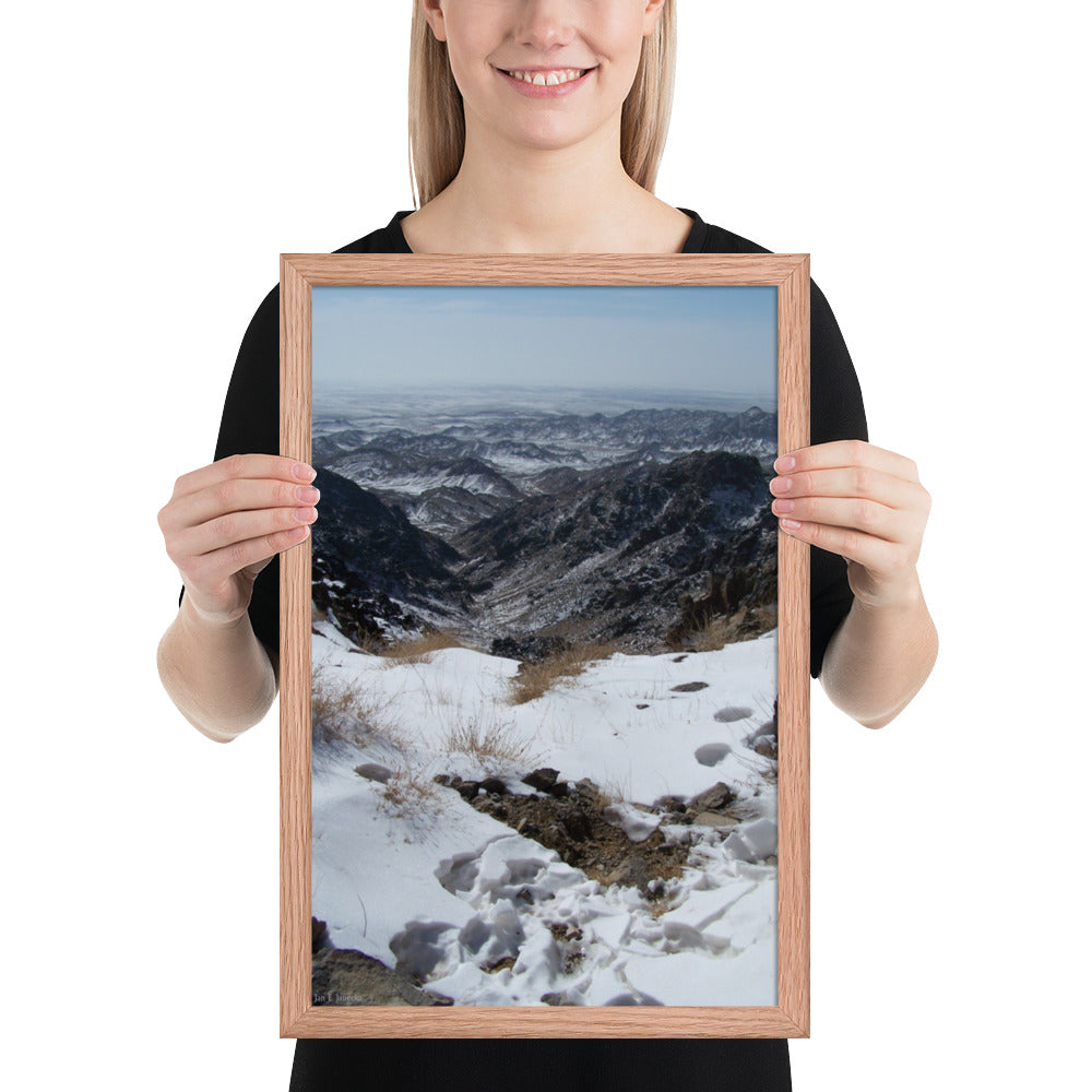 Framed poster, Snow leopard scrape on ridge in Mongolia 1