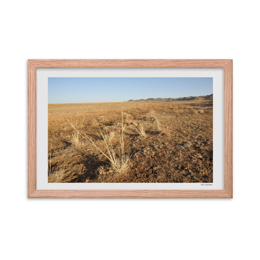 Framed poster, grass in Gobi of Mongolia