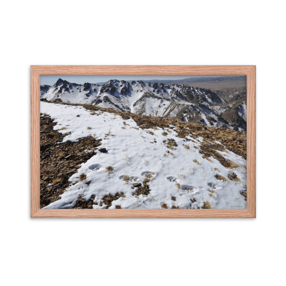 Framed poster, Snow leopard tracks on ridge in Mongolia