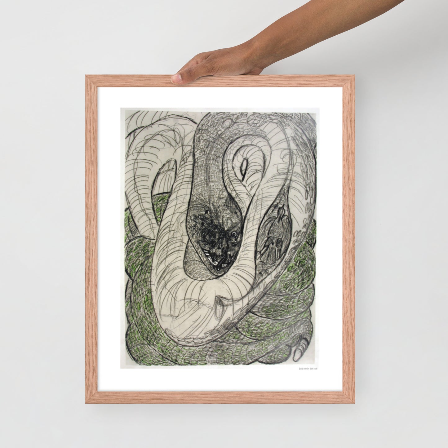 Framed poster print, fine art drawing of snake 1