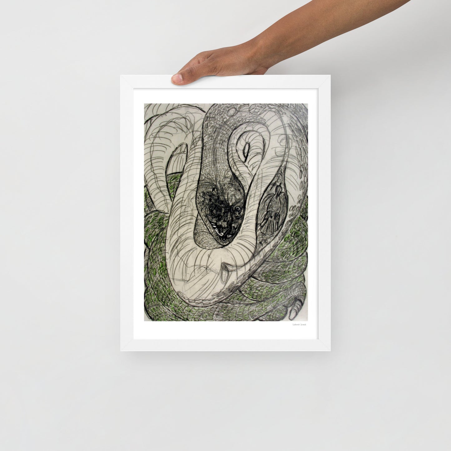 Framed poster print, fine art drawing of snake 1