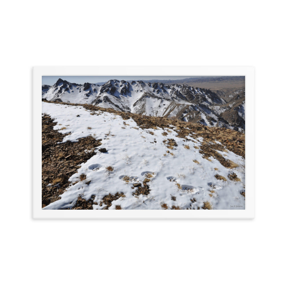 Framed poster, Snow leopard tracks on ridge in Mongolia