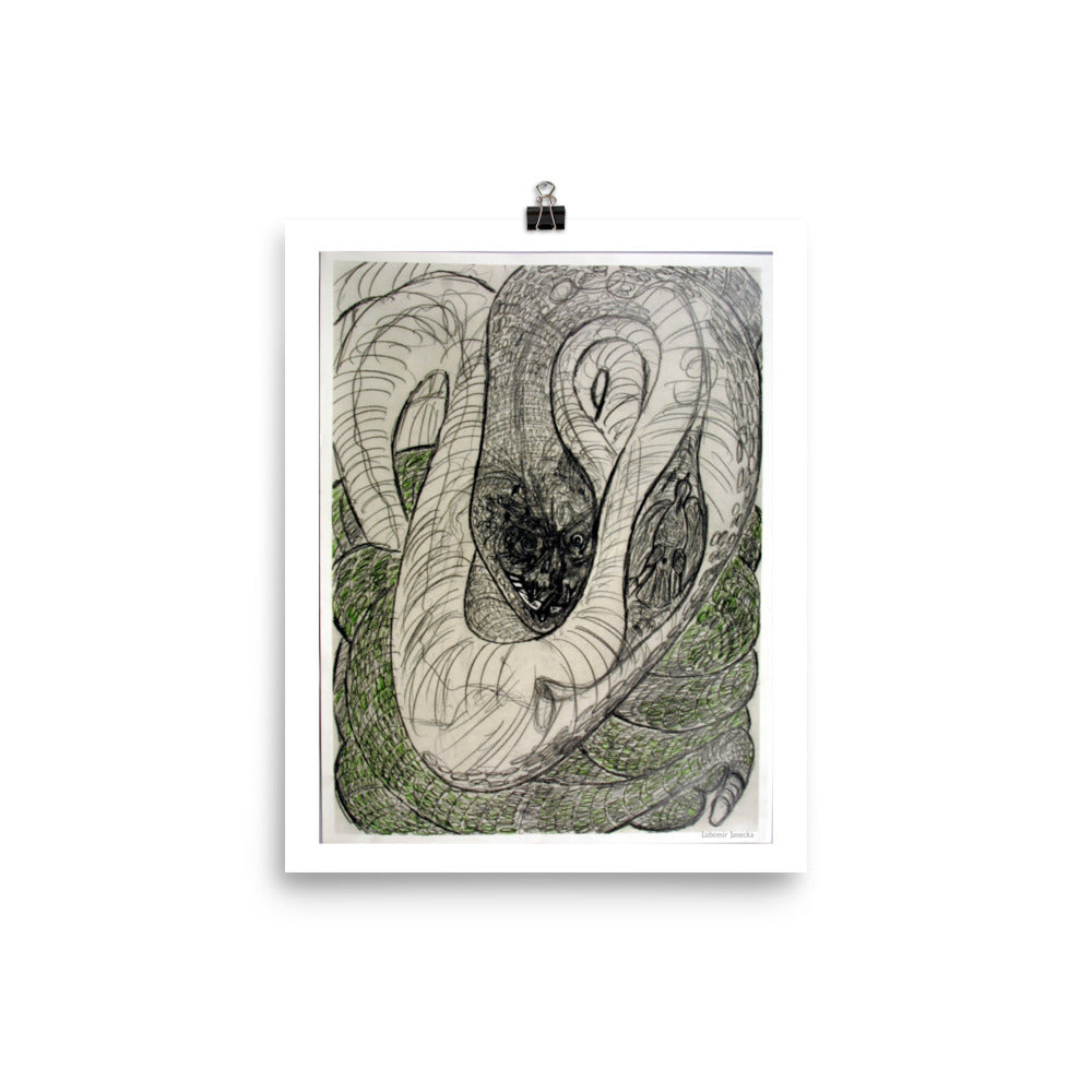 Poster print, fine art drawing of snake 1