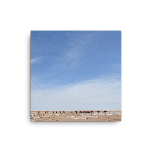 Canvas, photo of camels in Gobi of Mongolia 833