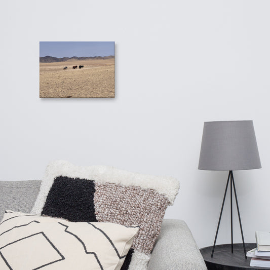 Canvas, photo of horses in Gobi of Mongolia 69