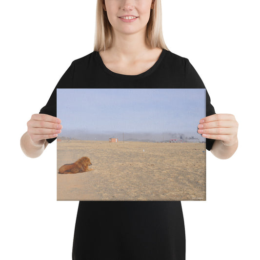 Canvas, photo of dog in Gobi of Mongolia