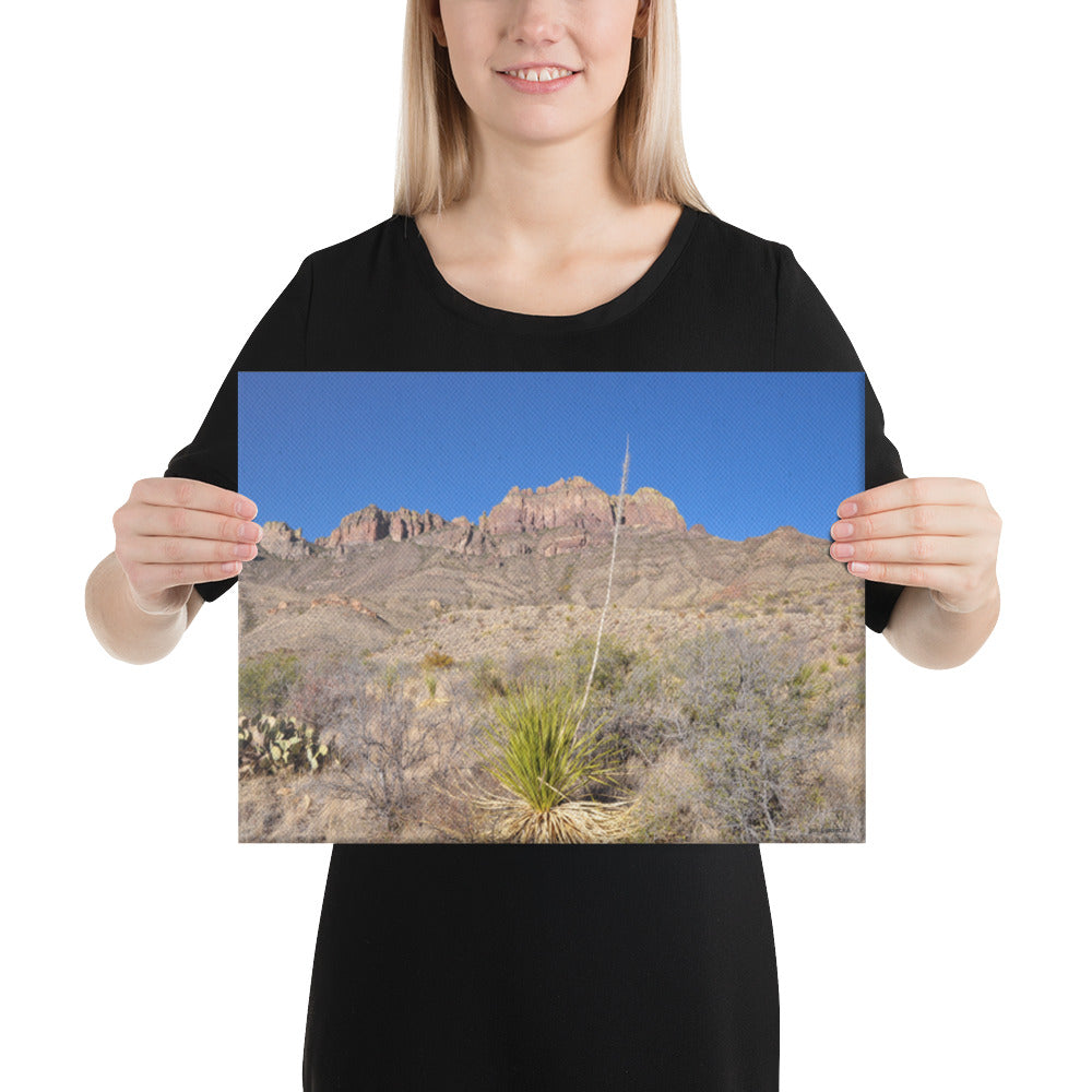 Canvas, Agave plant with Chiso Mountains in Big Bend NP 276