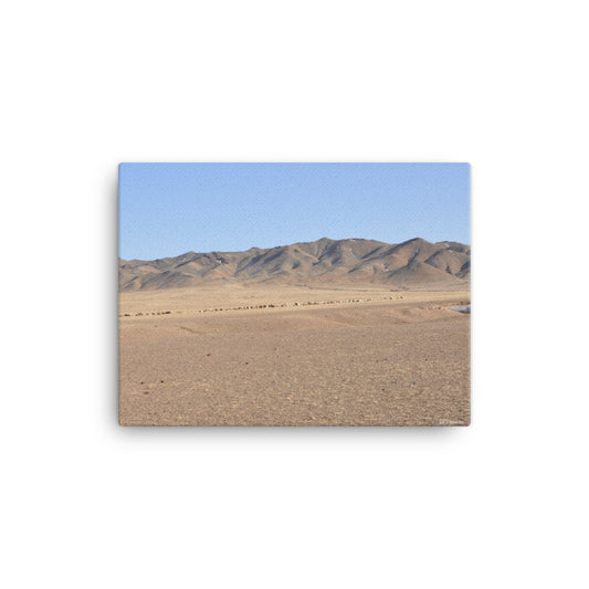 Canvas, photo of sheep herd in Mongolian steppe 283