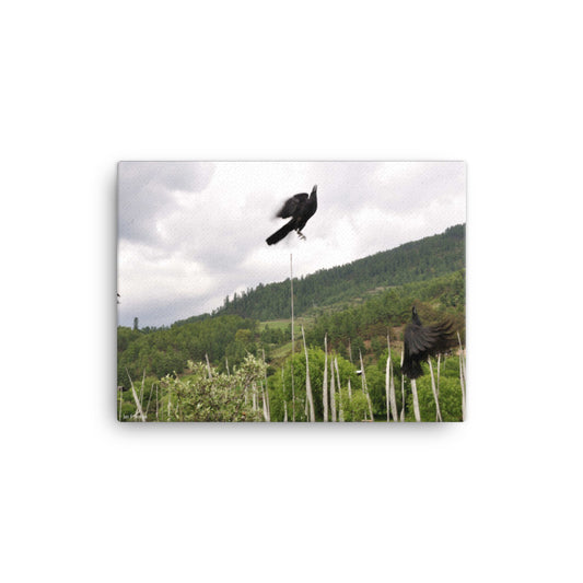 Canvas, ravens at Buddhist monastery in Bhutan