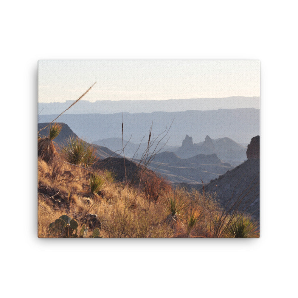 Canvas, photo of Mule Ears rock formation in Big Bend NP