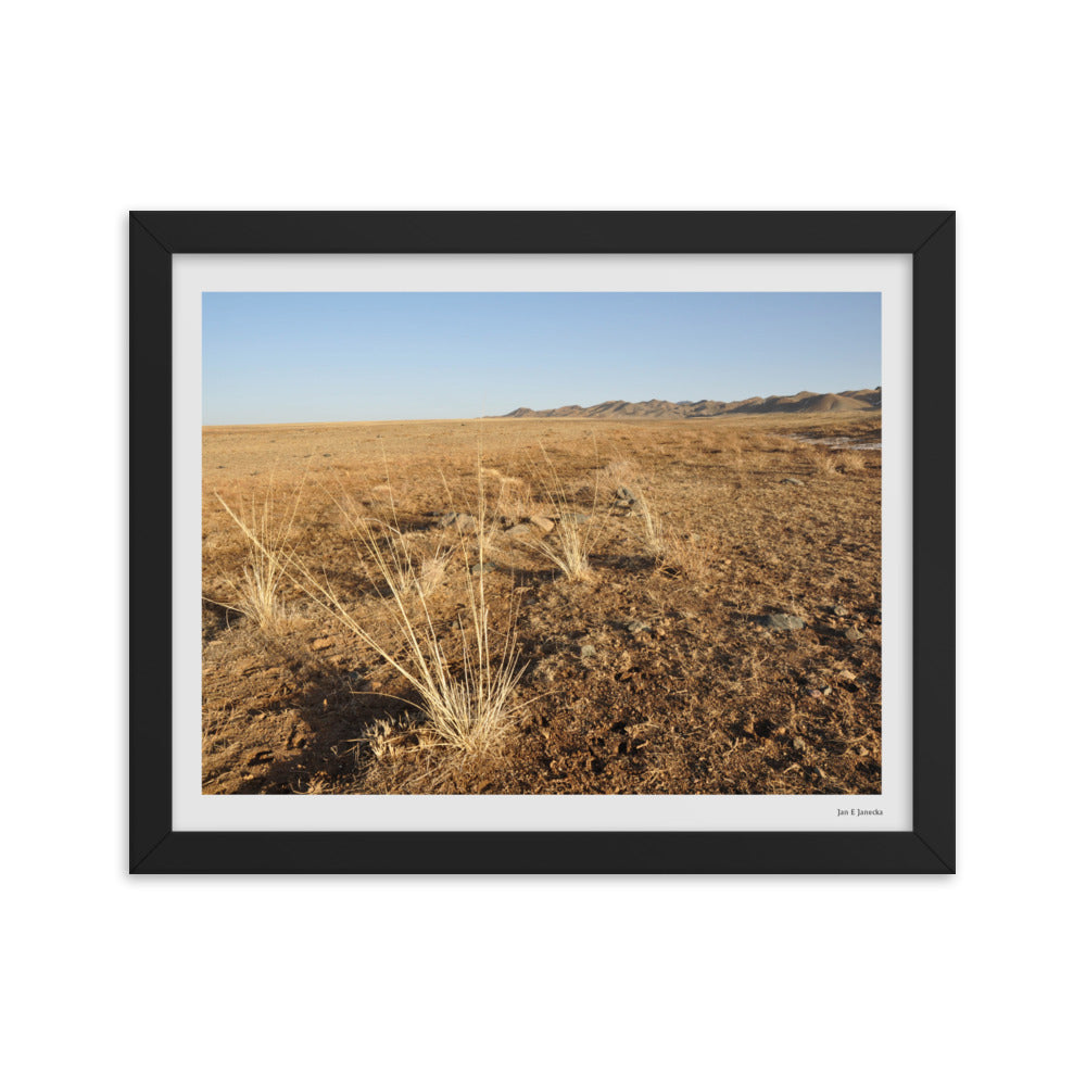 Framed poster, grass in Gobi of Mongolia