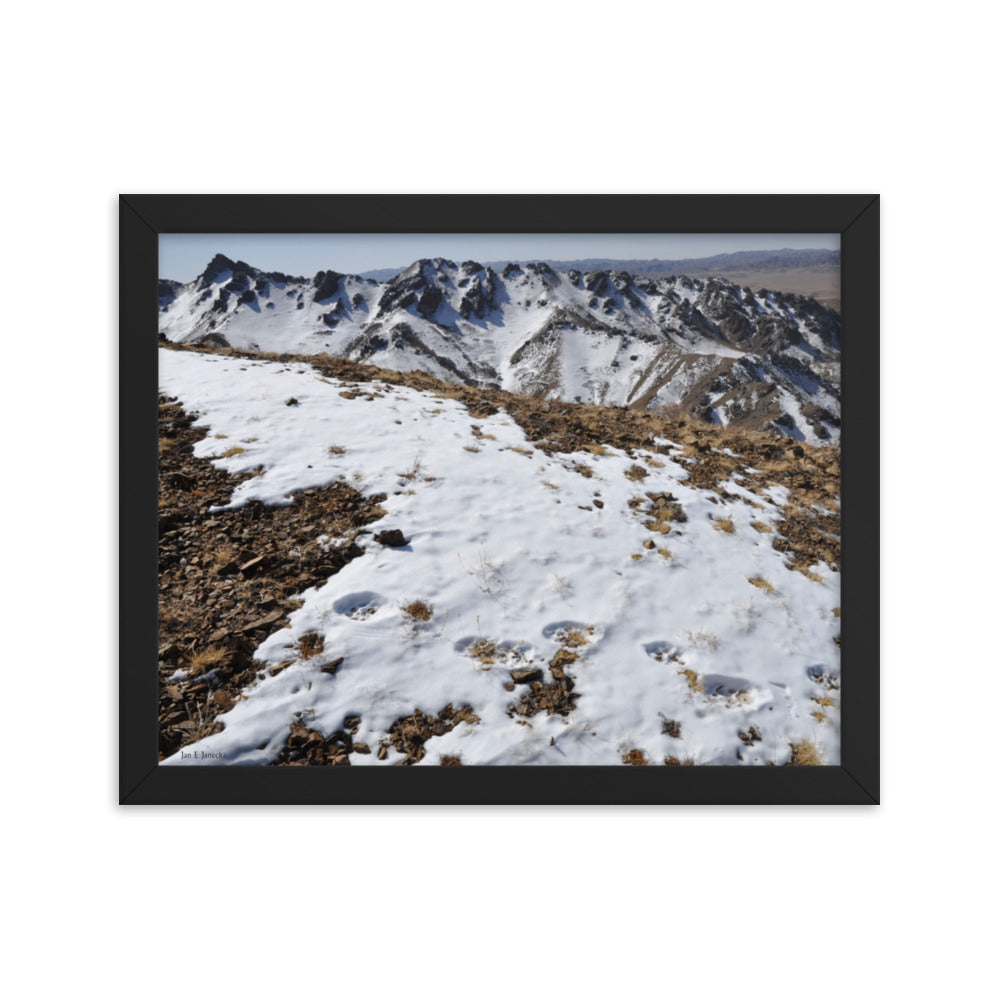 Framed poster, Snow leopard tracks on ridge in Mongolia 5