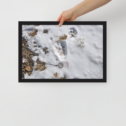 Framed poster, Snow leopard tracks on ridge in Mongolia 4
