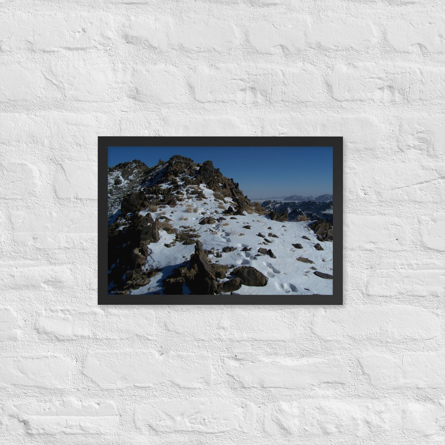 Framed poster, Snow leopard tracks on ridge in Mongolia 3