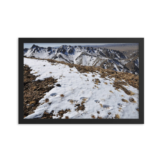 Framed poster, Snow leopard tracks on ridge in Mongolia