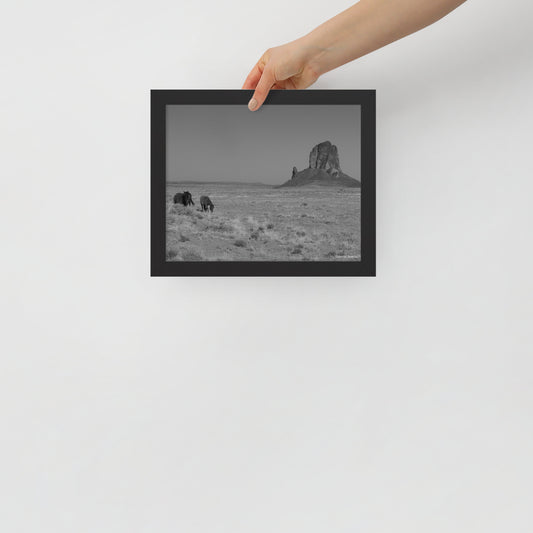 Framed poster (B&W), wild horses in Monument Valley in Arizona by East Mitten Butte