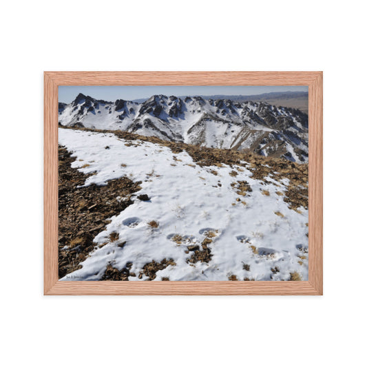 Framed poster, Snow leopard tracks on ridge in Mongolia 5