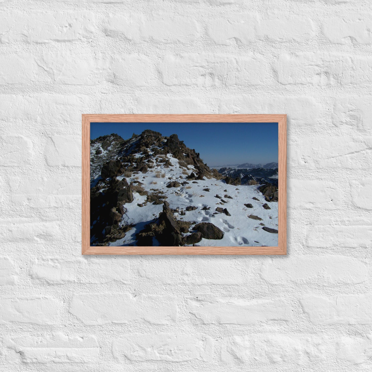 Framed poster, Snow leopard tracks on ridge in Mongolia 3