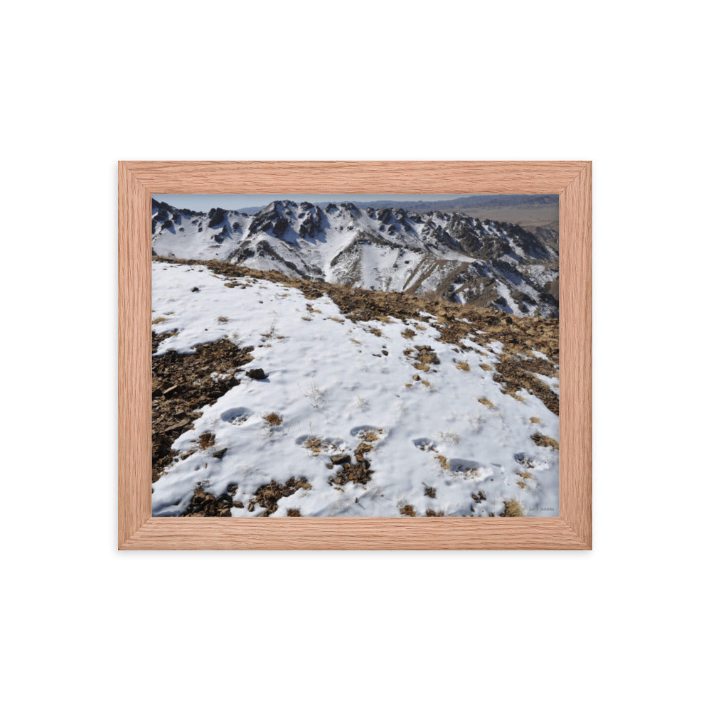 Framed poster, Snow leopard tracks on ridge in Mongolia