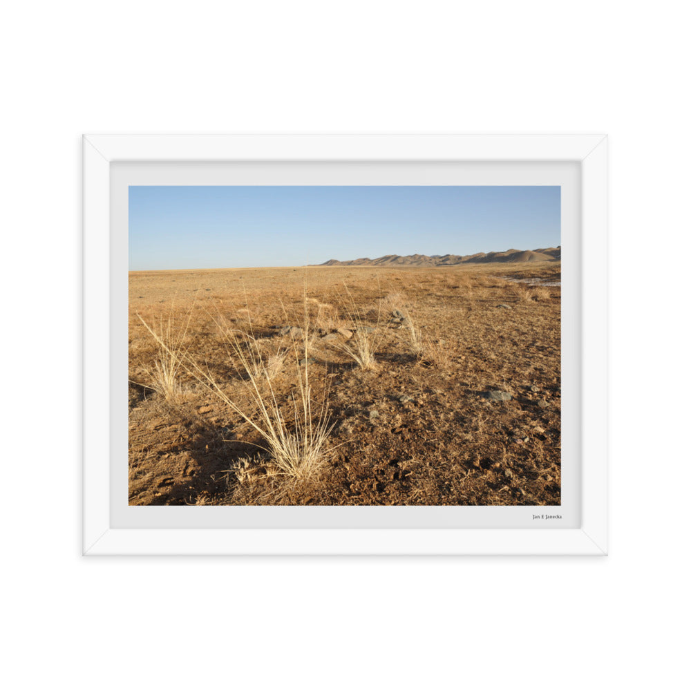 Framed poster, grass in Gobi of Mongolia