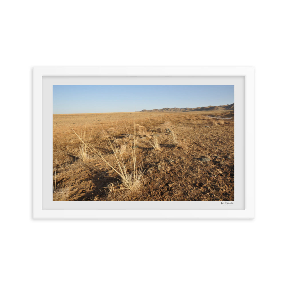 Framed poster, grass in Gobi of Mongolia