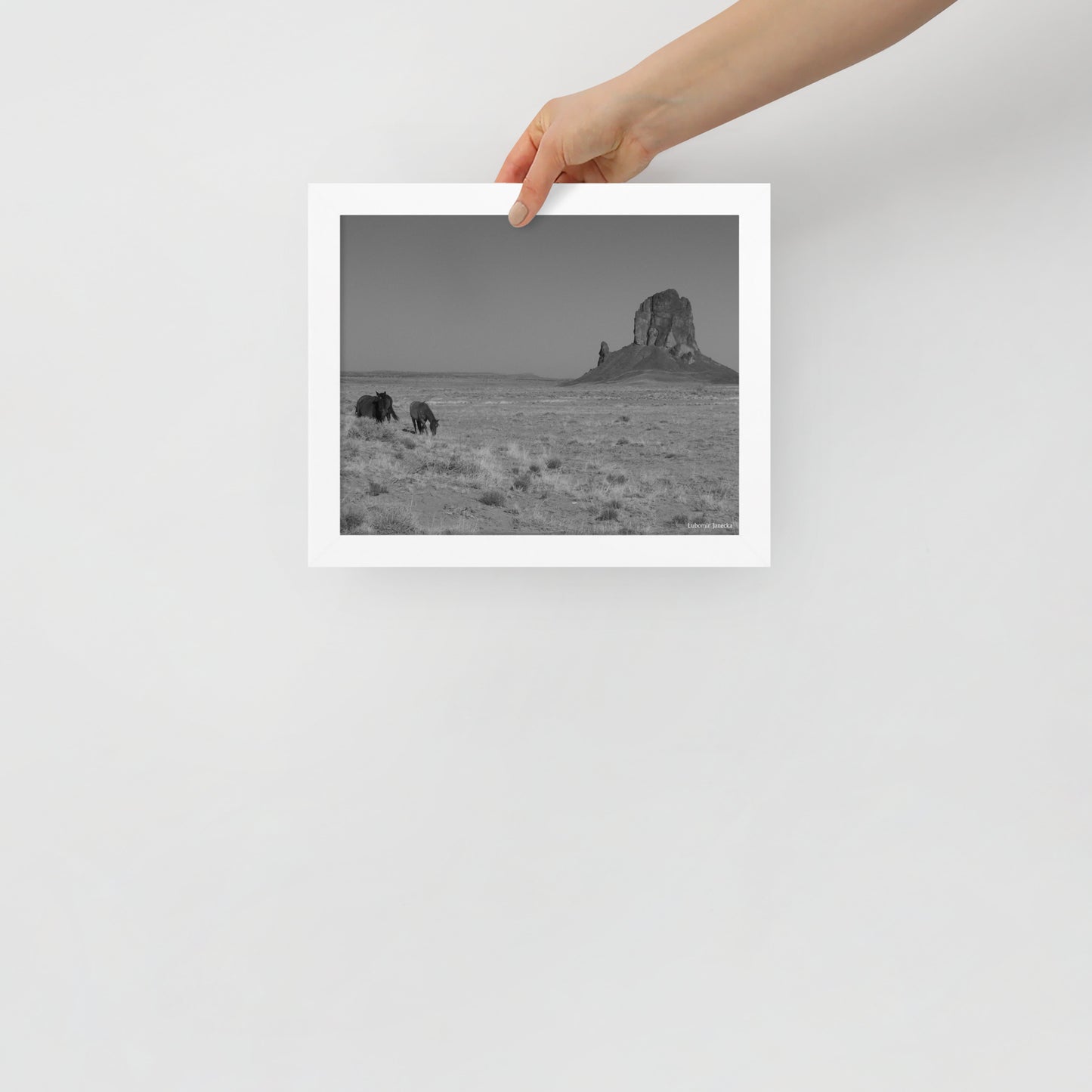 Framed poster (B&W), wild horses in Monument Valley in Arizona by East Mitten Butte