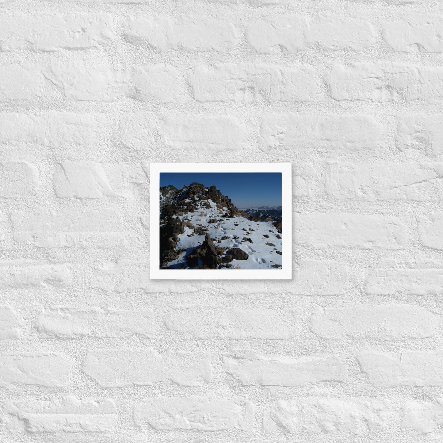 Framed poster, Snow leopard tracks on ridge in Mongolia 3