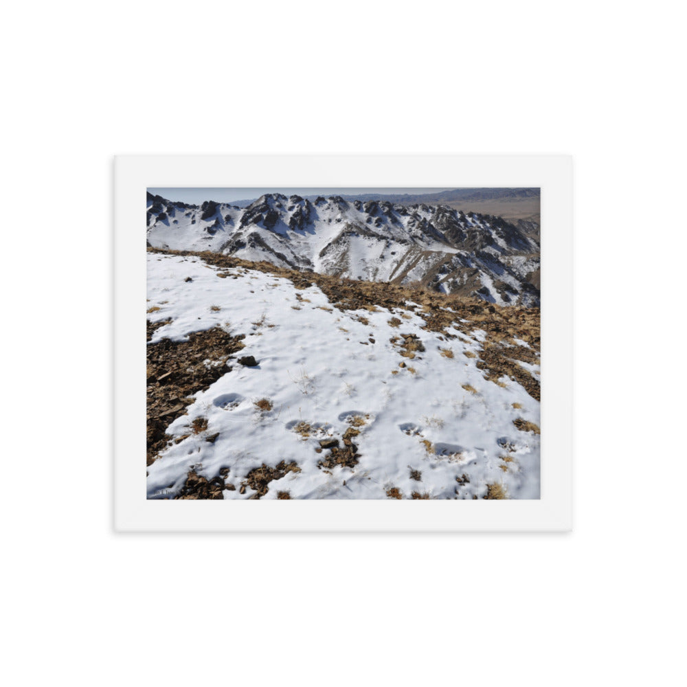 Framed poster, Snow leopard tracks on ridge in Mongolia 5