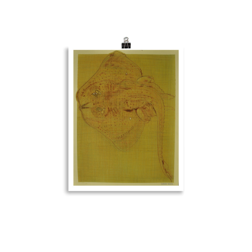 Poster print, fine art drawing of skate