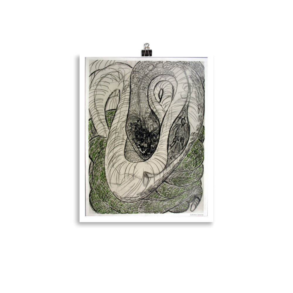 Poster print, fine art drawing of snake 1