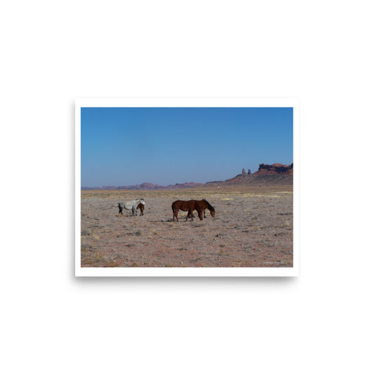 Poster, wild horses in Monument Valley in Arizona