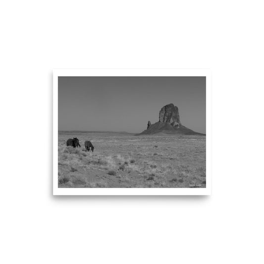 Poster (B&W), wild horses in Monument Valley in Arizona by East Mitten Butte