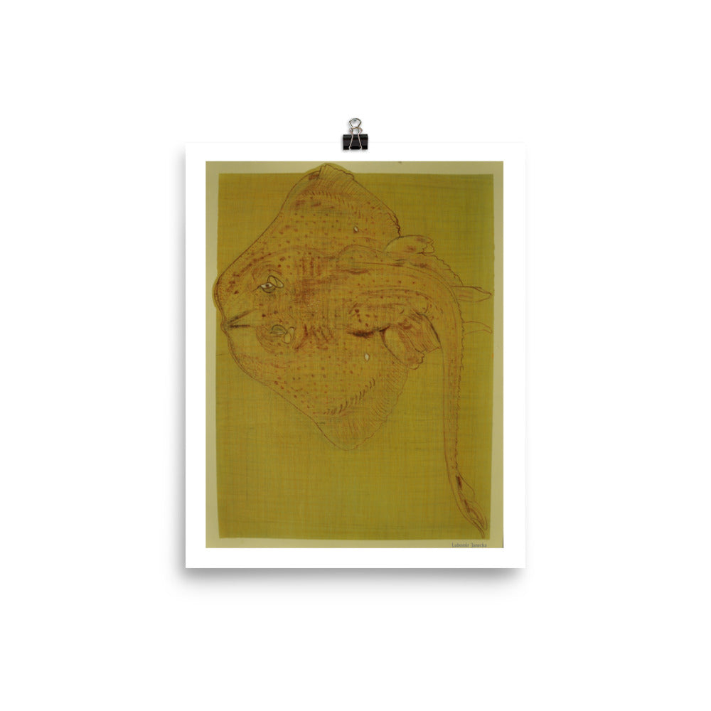 Poster print, fine art drawing of skate